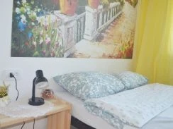 Фото 1-комнатная квартира в Ногинске, Дмитрия Михайлова