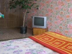 Квартира на сутки Йошкар-Ола ул. Панфилова, 19