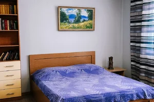 Фото 1-комнатная квартира в Барнауле, Малахова 89