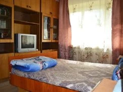 Фото 1-комнатная квартира в Зеленодольске, Рогачева 19