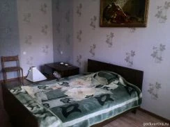 Квартира на сутки Воронеж плехановская 32