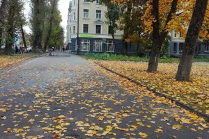 Фото 2-комнатная квартира в Пскове, Октябрьский проспект19